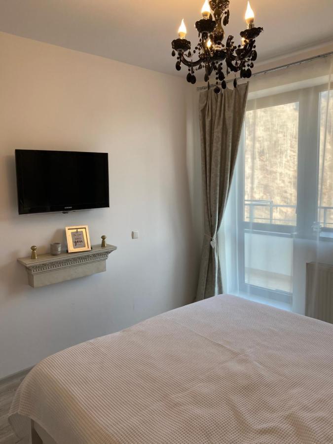 Harmony Apartment Sinaia Kültér fotó