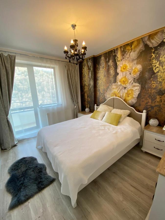 Harmony Apartment Sinaia Kültér fotó